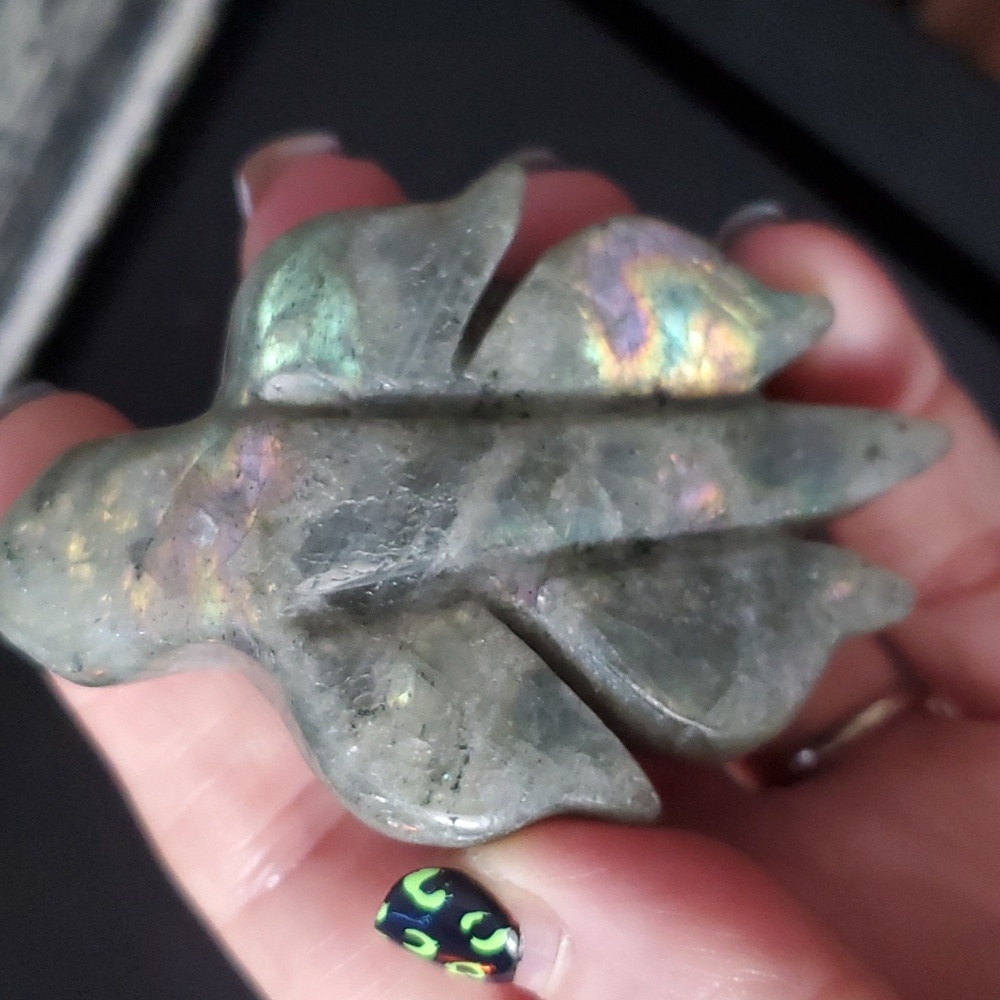 🐢 Labradorite Turtle 🐢 - Picture 5 of 7